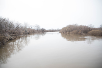 ���������� � �������� ���������� � ������� ������� ����������