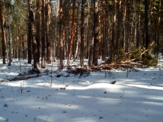 ������� ��� �������, �������������� ��������� � ���� ��������� ��� ����������� ����