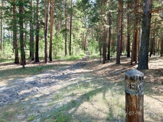 �������� ����������� �� ����������� �������� ������������ ��������� �����