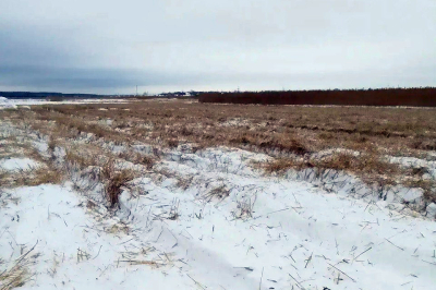 �� ���������� ������ ������ ���� ������ � ������ ��������������� �����������