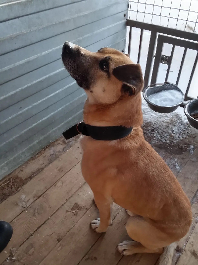 ������ ��������