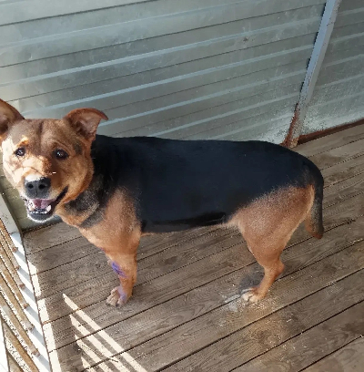 ������ ����