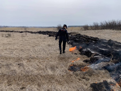 � ������� ������ ����������� ��������������� ������