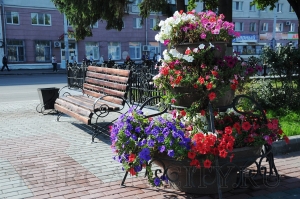 ������������� �������