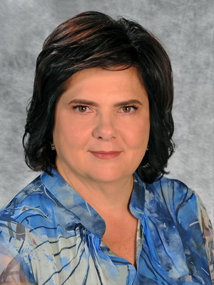 ���������� ������� �������������