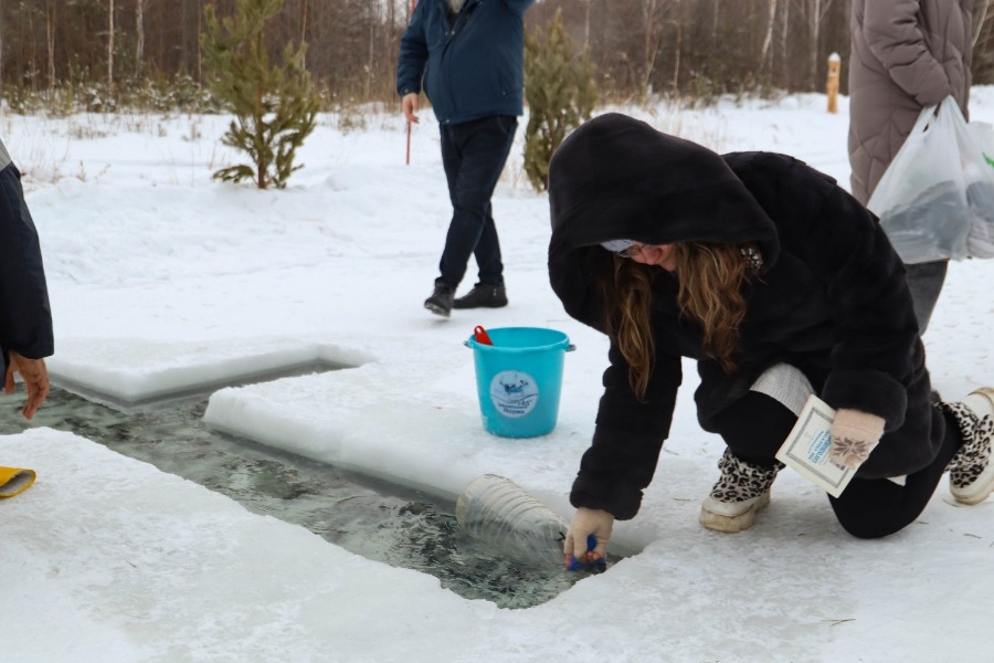 ���������� ������� 2025