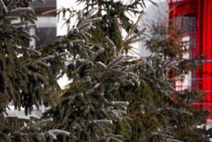 ������ � ������� 